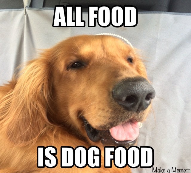 All food is dog food