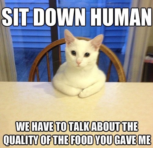 Sit down human we have to talk